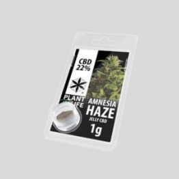 Plant Of Life Amnesia Haze 22% CBD Jelly